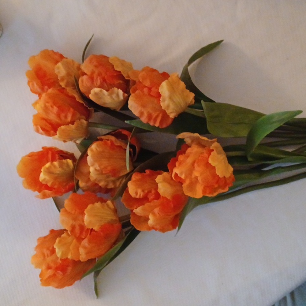 Pottery Barn (10) stems of tulips 🌷